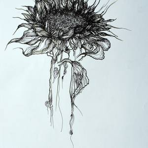 Collection Floral Manifestations I (Drawings)