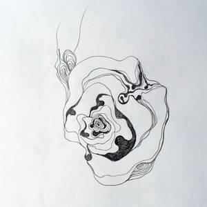 Collection Floral Manifestations I (Drawings)