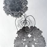 Collection Floral Manifestations I (Drawings)