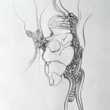Collection Floral Manifestations I (Drawings)