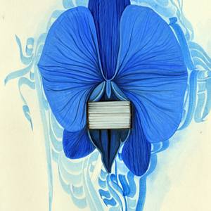 Collection Floral Manifestations