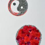 Collection Floral Manifestations