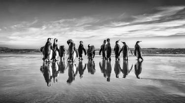 Penguins on the beach - Limited Edition 2 of 5 thumb