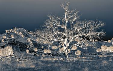 Original Abstract Landscape Photography by Katina Desmond