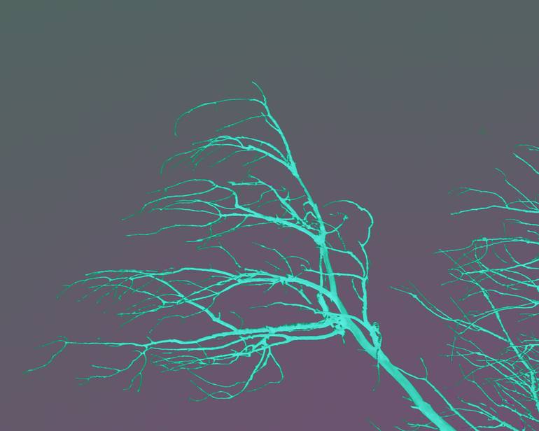 Original Abstract Nature Photography by Katina Desmond