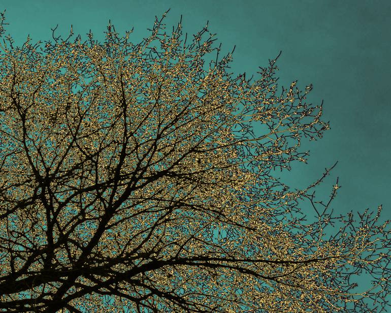 Original Conceptual Abstract Photography by Katina Desmond