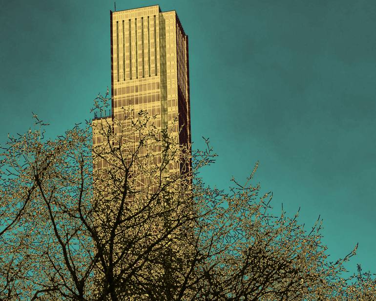 Original Conceptual Abstract Photography by Katina Desmond