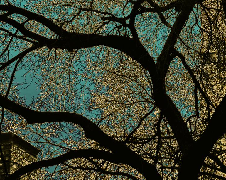 Original Conceptual Abstract Photography by Katina Desmond