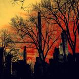 Collection Twilight In Central Park