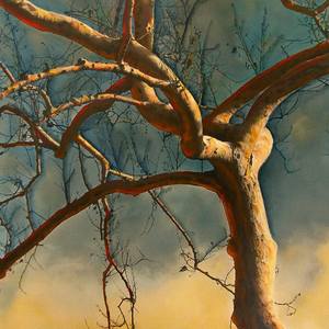 Collection Enchanting Trees