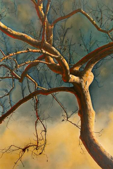 Original Expressionism Tree Paintings by Katina Desmond