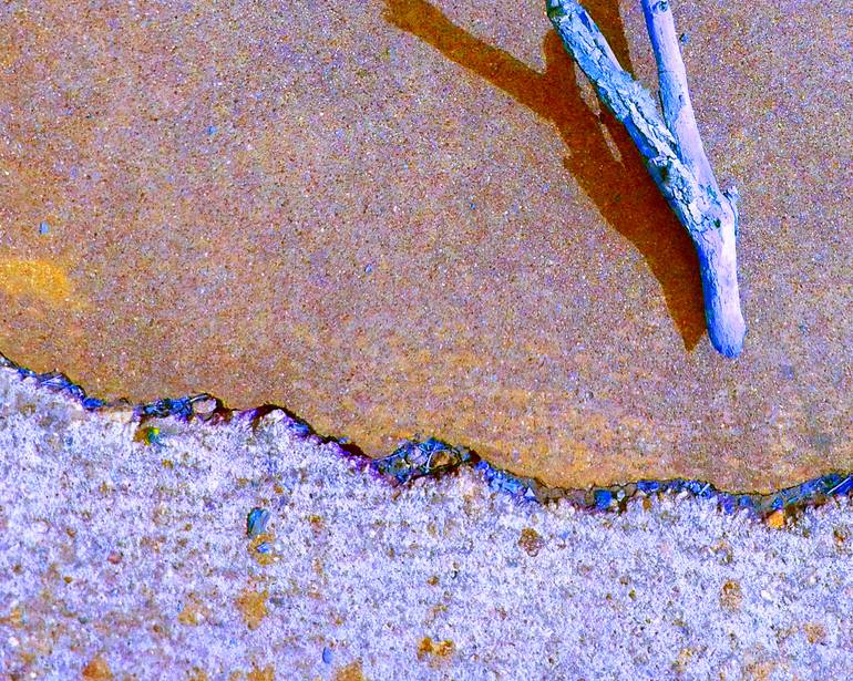 Original Conceptual Fantasy Photography by Katina Desmond