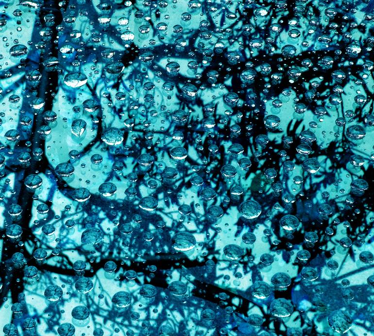 Original Conceptual Nature Photography by Katina Desmond