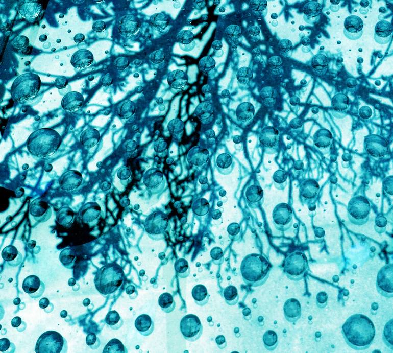 Original Conceptual Nature Photography by Katina Desmond