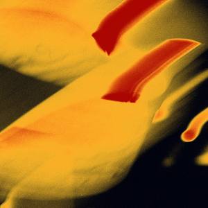 Collection Light In Motion Abstracts