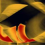 Collection Light In Motion Abstracts