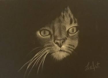 Print of Realism Cats Drawings by Elisabeta Gherghel