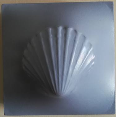 Grey Pecten 240 thumb