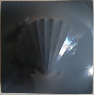 Grey Pecten 250 thumb