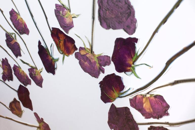 Original Contemporary Botanic Mixed Media by Nuki Sigora