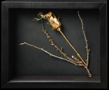 My wall jewel, rose#2,electroforming & 24k gold plating,27cmx31cm,2016 thumb