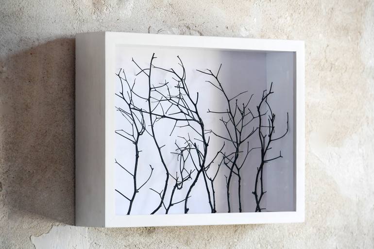 Original Documentary Nature Collage by Nuki Sigora