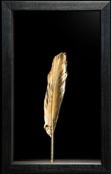 My wall jewel,feather, 24k gold plating,17cmx27cm,2016 thumb
