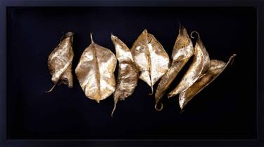 Gold leaves, 24k gold plating and leaves, 43x78 cm , 2017. thumb