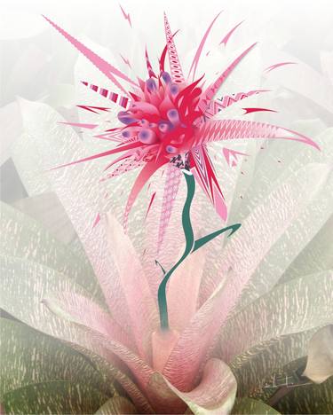 Original Illustration Floral Digital by Alexandre Valentim
