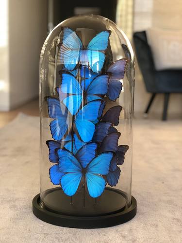 Butterflies in Glass Dome thumb