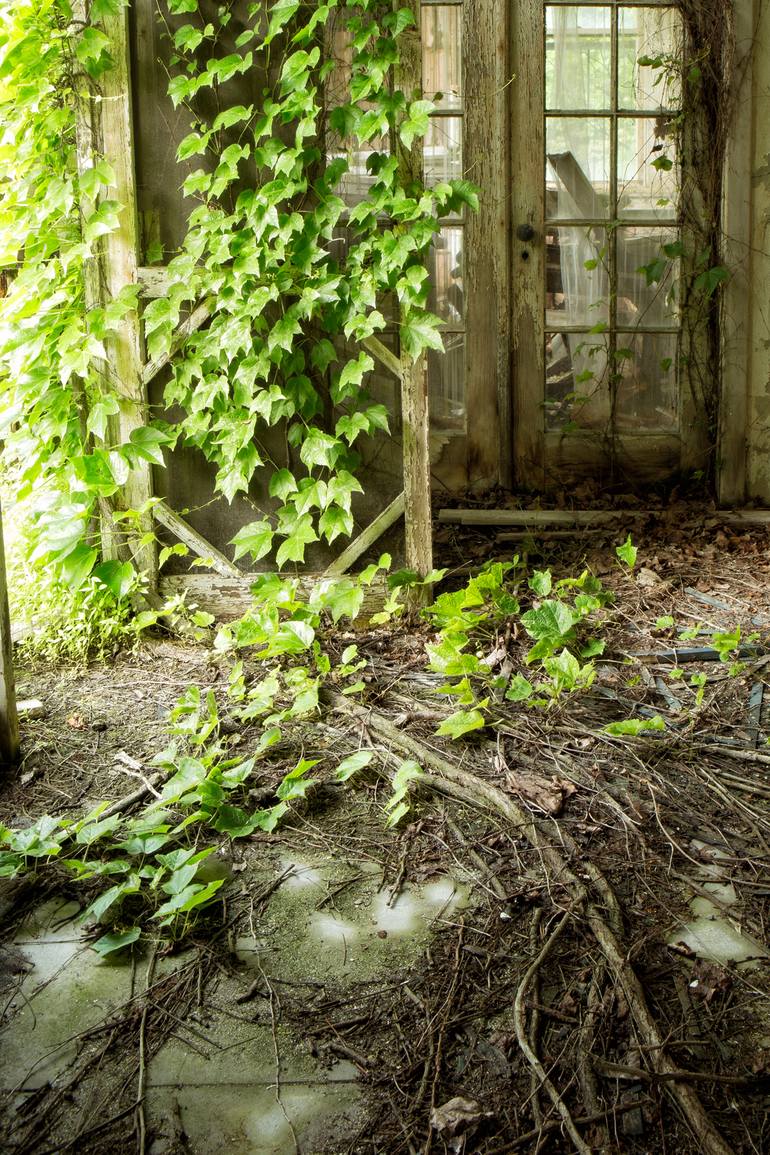 Original Contemporary Nature Photography by Rebecca Skinner