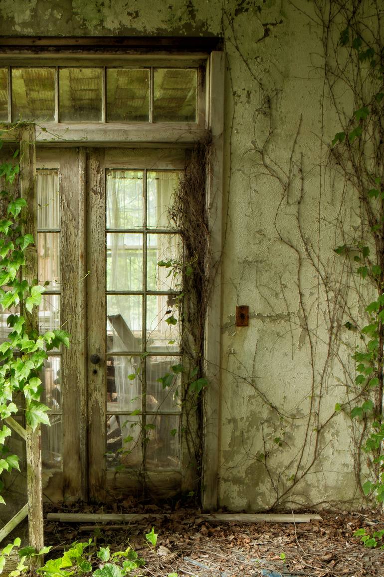 Original Contemporary Nature Photography by Rebecca Skinner