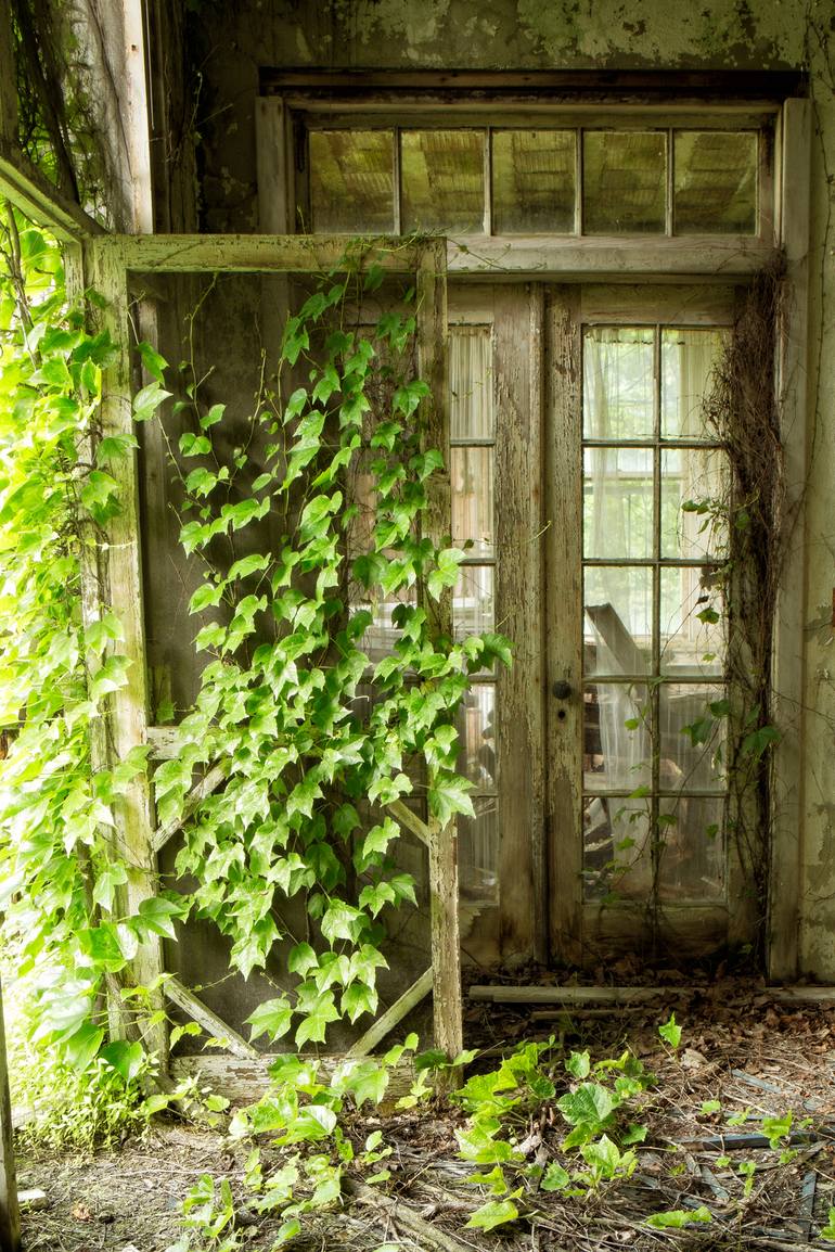 Original Contemporary Nature Photography by Rebecca Skinner