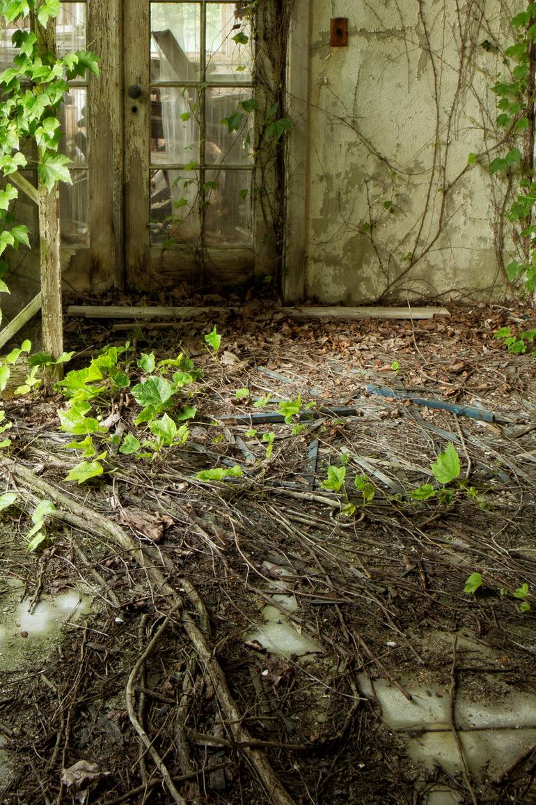 Original Contemporary Nature Photography by Rebecca Skinner