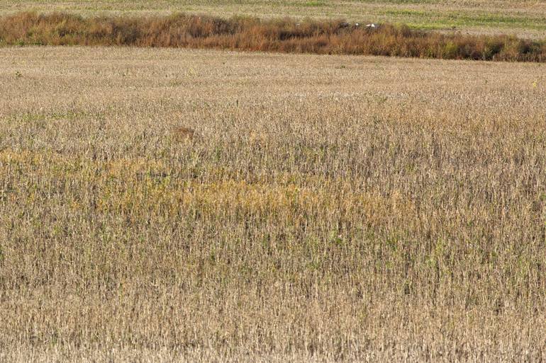 Original Contemporary Landscape Photography by Rebecca Skinner