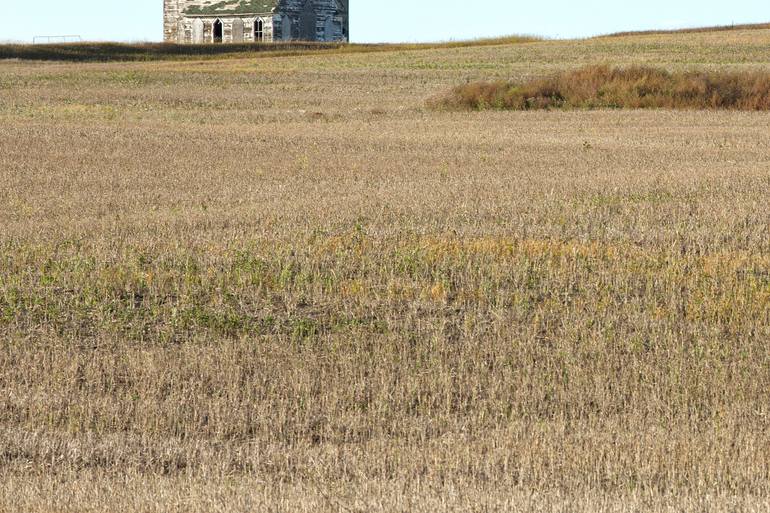 Original Contemporary Landscape Photography by Rebecca Skinner