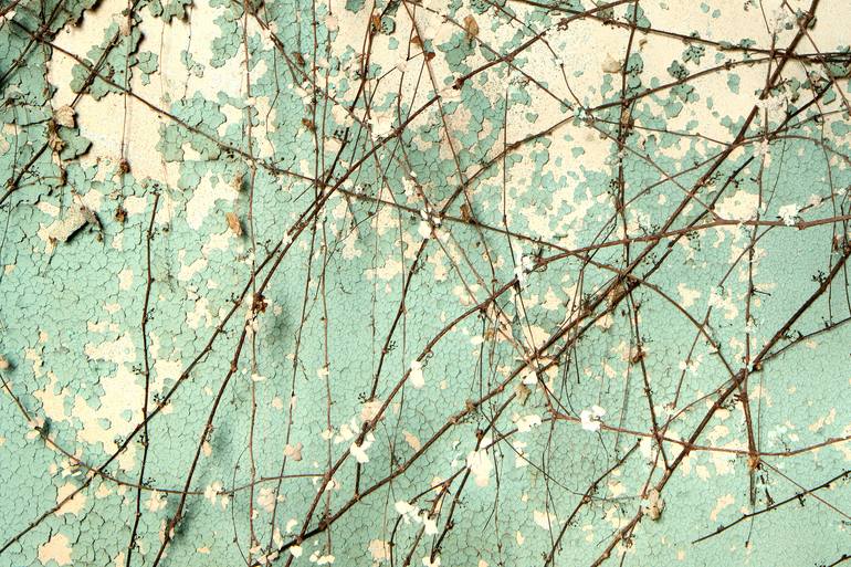 Original Documentary Botanic Photography by Rebecca Skinner