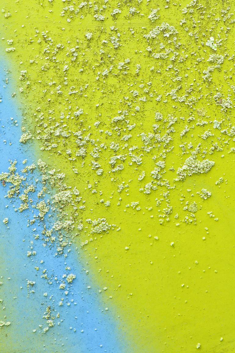 Original Fine Art Abstract Photography by Rebecca Skinner