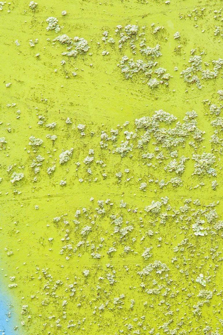 Original Fine Art Abstract Photography by Rebecca Skinner