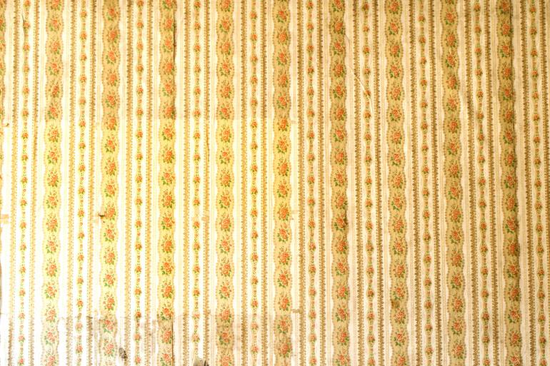 Original Contemporary Home Photography by Rebecca Skinner