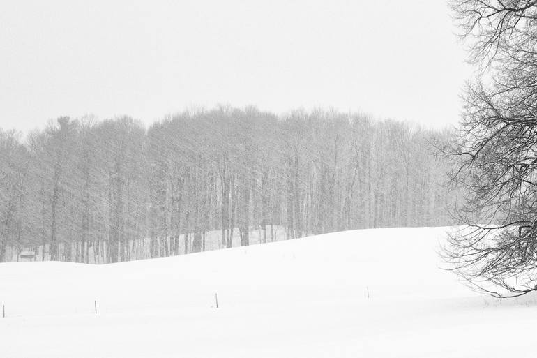 Original Contemporary Landscape Photography by Rebecca Skinner
