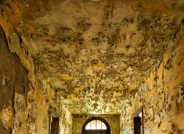 Original Documentary Other Photography by Rebecca Skinner