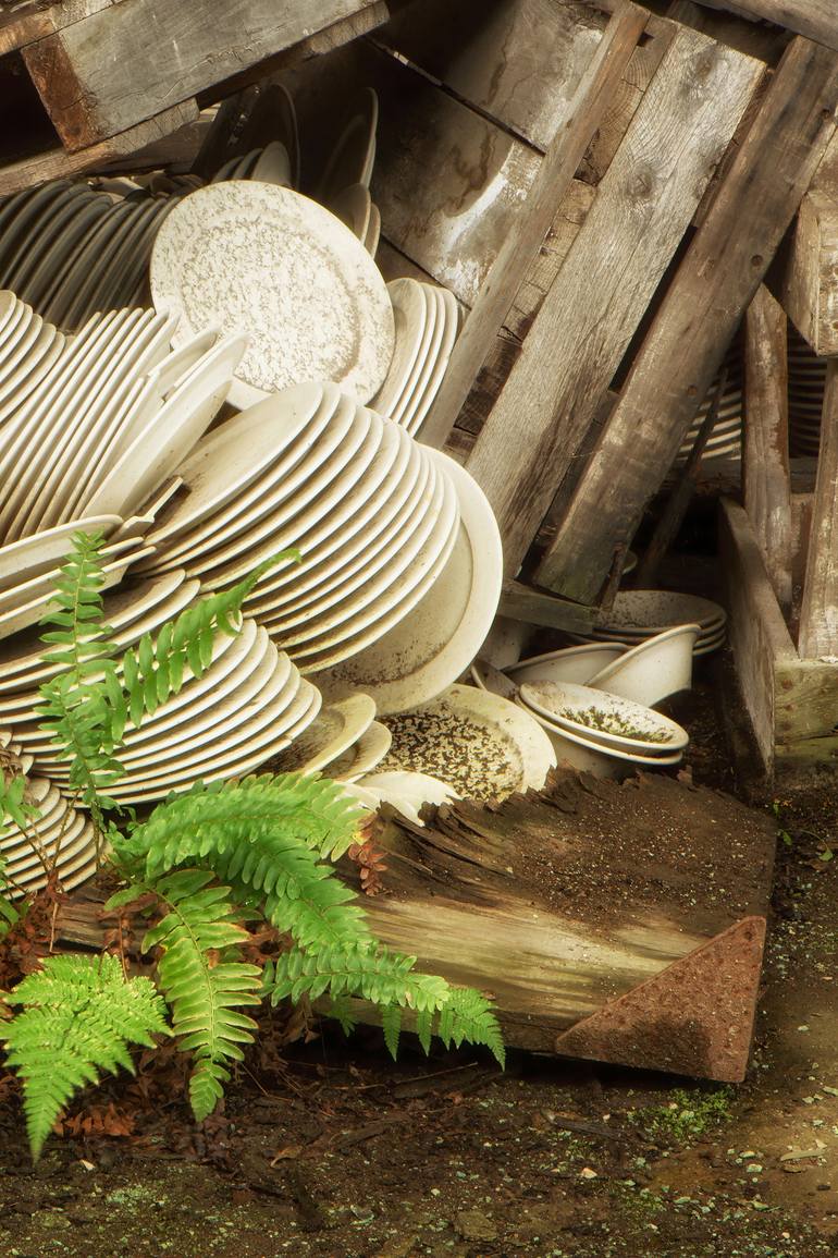 Original Contemporary Still Life Photography by Rebecca Skinner