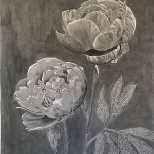 Double Peony