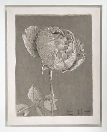 Original Botanic Drawing by Emily Morgan Brown