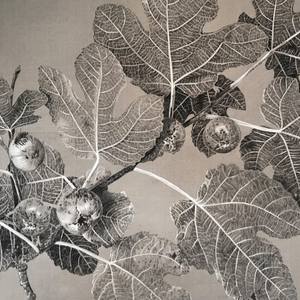 Fig Branch