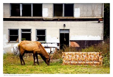 WHITE TRASH ELK - Limited Edition of 1 thumb