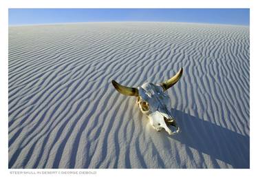 STEER SKULL IN DESERT - Limited Edition of 100 thumb