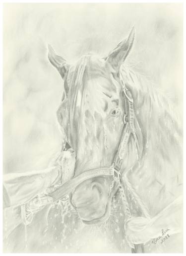 Print of Fine Art Horse Drawings by Lisa Andrews