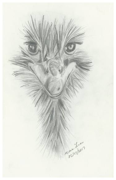 Print of Figurative Animal Drawings by Lisa Andrews